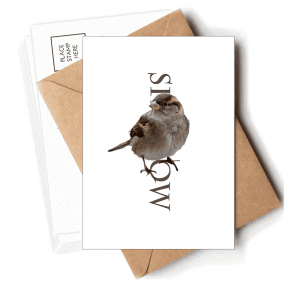 Food Side Body Sparrows Birds Postcards Envelopes Blank Note Cards Mailing
