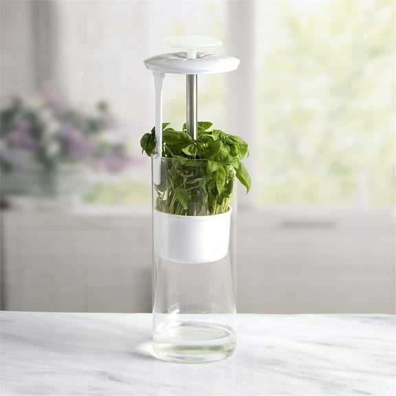 Food Storage Boxes for Kitchen Herb For Refrigerator Fresh Herb Pod Containers Preserving Bottle Fresh Herb For Kitchen Storing Cilantro, Kitchen Closure Bags & lids & Boxes