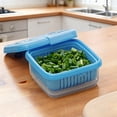 thumbnail image 1 of Food Storage Containers with Lids Fridge Berry Storage Container with Lid/Strainer Fresh Produce Saver Keeper for Scallion Ginger Garlic Vegetable Fruit Meat Lettuce, 1 of 6