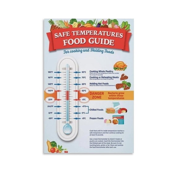 Food Storage Temperature Chart Poster Food Safety Temperature Guide Canvas Print Aesthetic Decor Bedroom Bathroom Preppy Dorm Home Posters Garage Decor