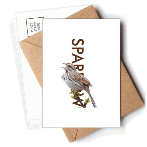 Food Throat Sparrows Birds Postcards Envelopes Blank Note Cards Mailing