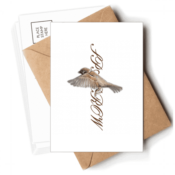 Food Wings Sparrows Birds Postcards Envelopes Blank Note Cards Mailing