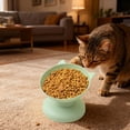 thumbnail image 1 of Food and Water Bowls for Cats,Elevated Food Bowls for Cats Feeding Bowl,Puppy Feeding Bowls Cute Cat Bowl,Small Dog Food Bowl Wide Cat Bowl, 1 of 9