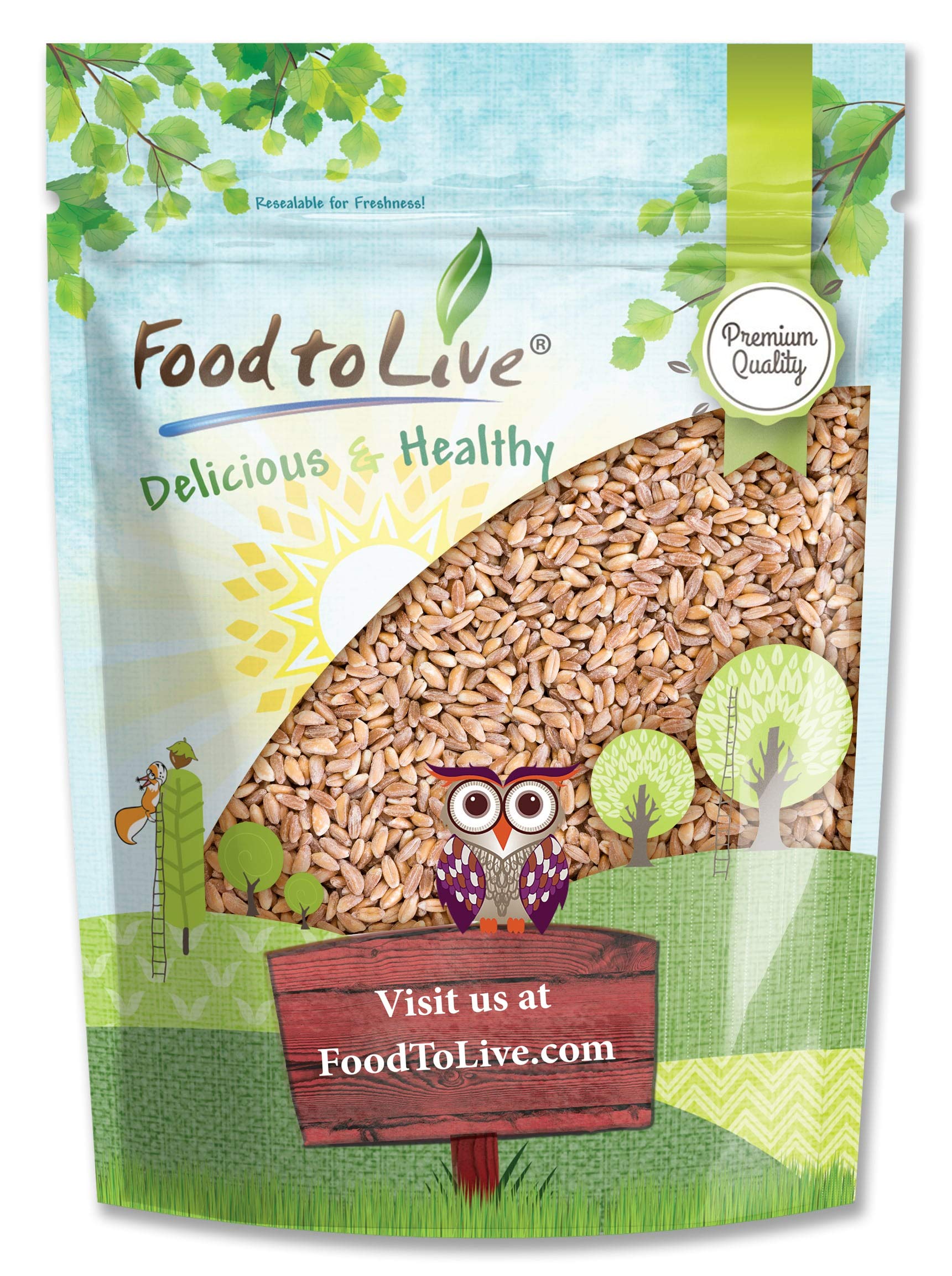 Food to Live Pearled DHF10 Farro Grain, 1 Pound Kosher, Vegan, Whole