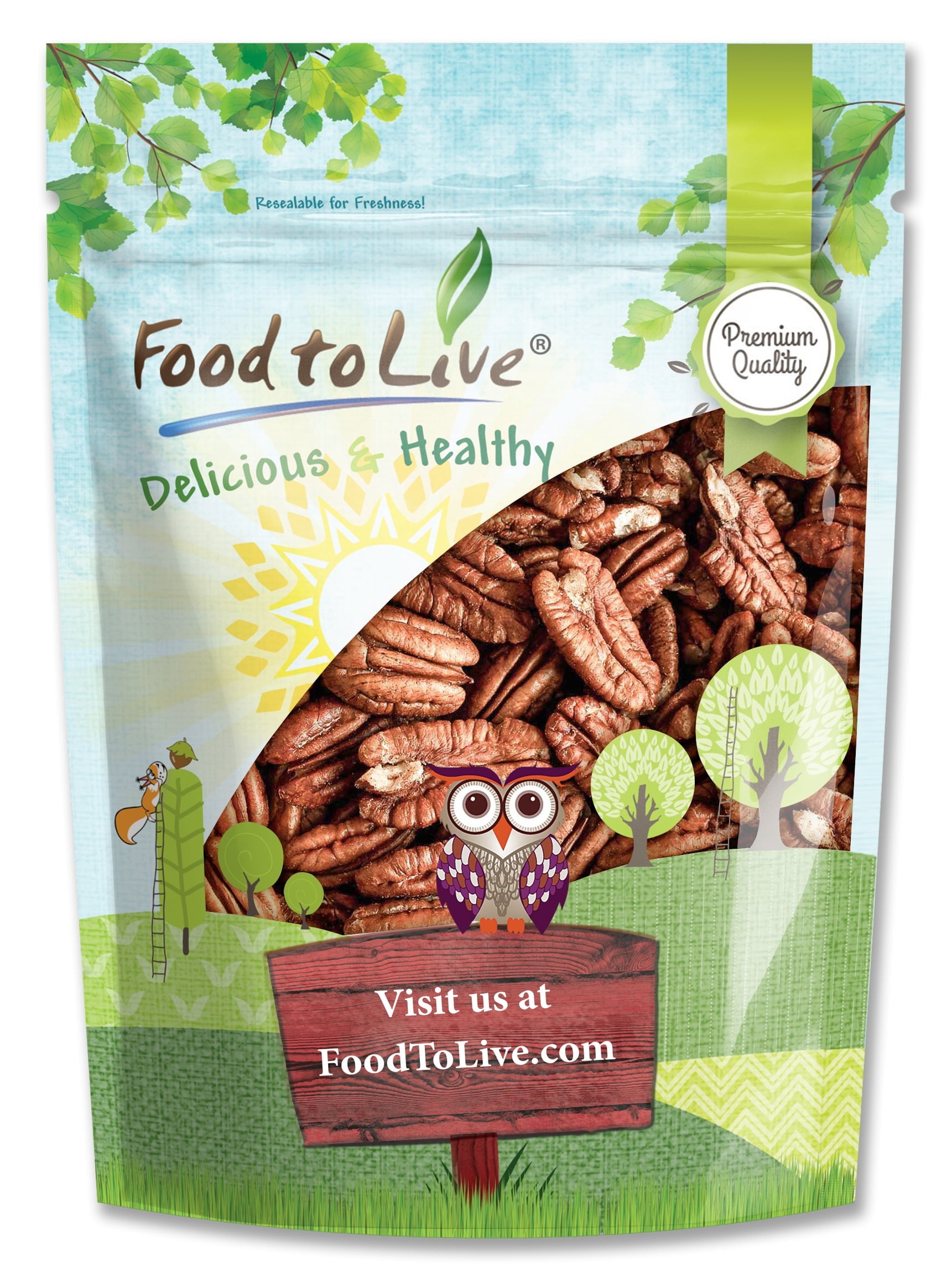 Food to Live Whole Pecans, 1 Pound, Non-GMO Verified, Raw, Shelled