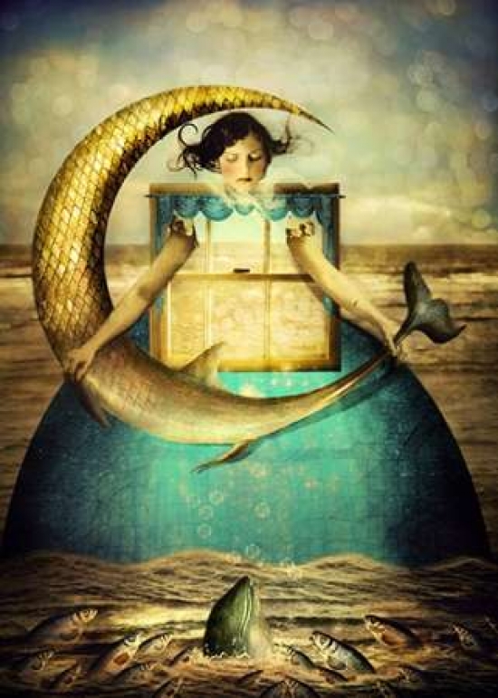 Foolish Moon???s Dream Canvas Art - Marta Orlowska (20 x 28)