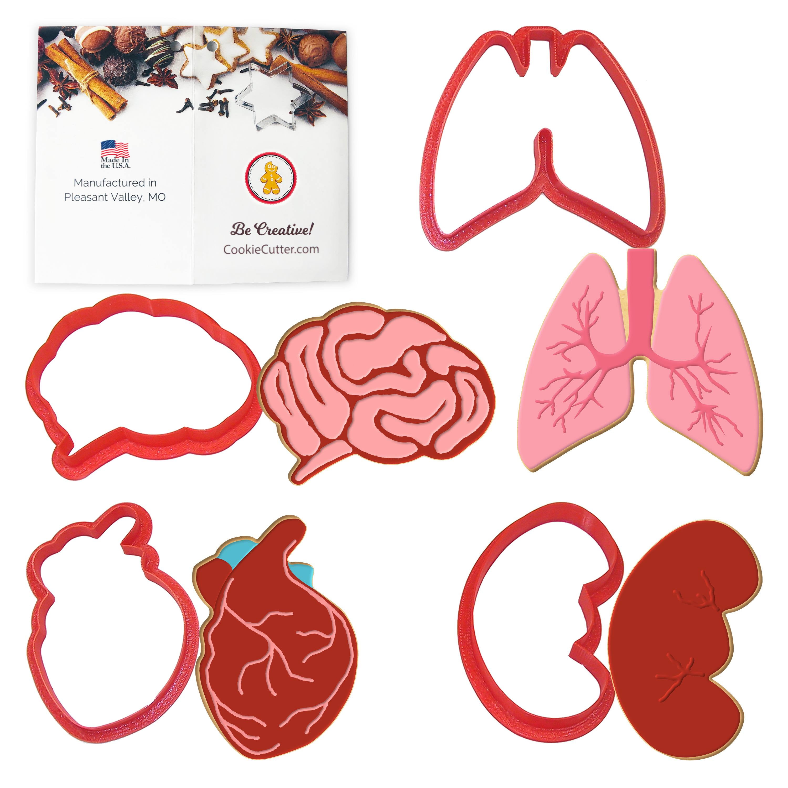 Red Anatomical Body Parts Plastic Cookie Cutter Set