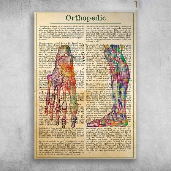 Foot Orthopedic - Leg Bone, Leg Model, Human Leg 11 x 17 Inch Poster