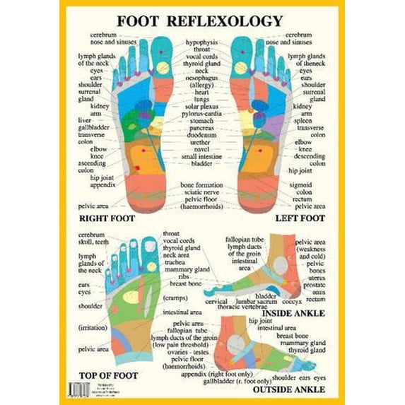 Foot Reflexology -- A2