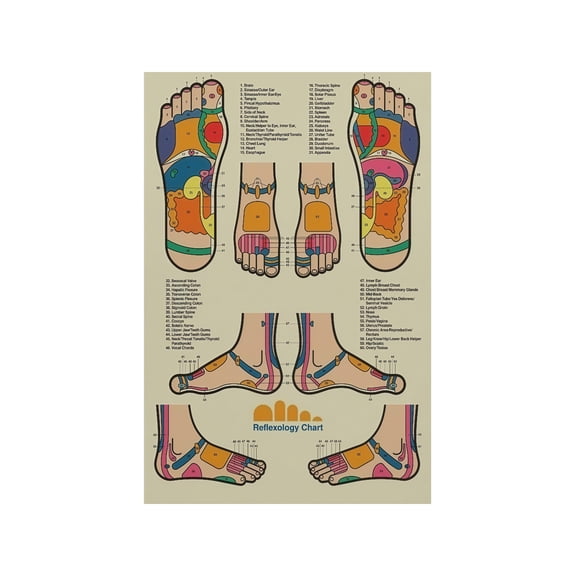 Foot Reflexology Pressure Points Chart Poster Acupressure Massage Therapy Reference for Pain Relief Stress Relief Yoga Studio Classroom and Holistic Healing Wall Art