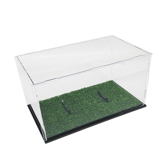 Football Display Case Acrylics Clear Display Box with Stand, Softball Basketball Holder Box for Organization & Showcases