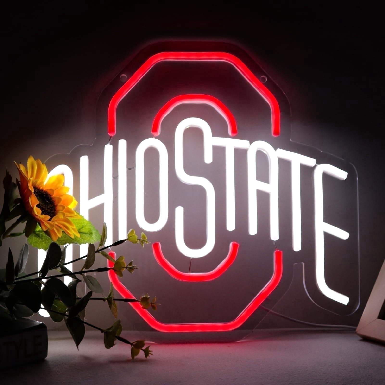 Red White Letter Neon Sign LED Wall Decor USB Powered Light with Switch for Bedroom Dorm Bar Decoration