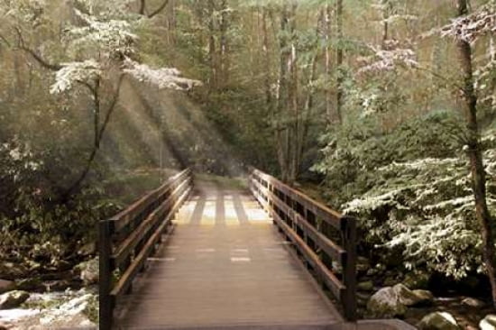 Footbridge Canvas Art - Nan (12 x 18)