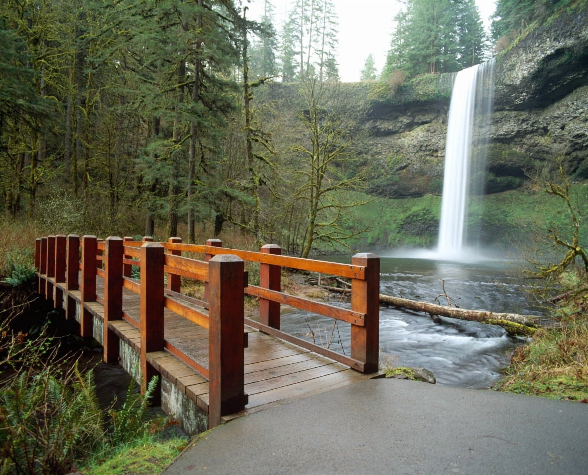 Footbridge across a river with a waterfall in the background Silver Falls State Park Salem Oregon USA Canvas Art - Panoramic Images (28 x 22)