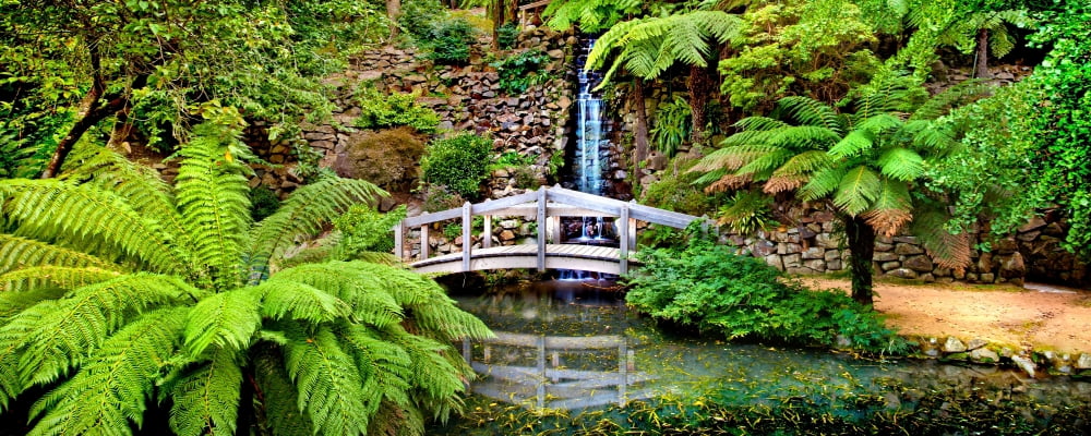 Footbridge and waterfall in a forest Dandenong Forest Melbourne Victoria Australia Canvas Art - Panoramic Images (6 x 15)