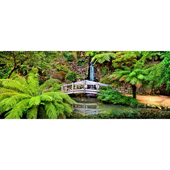 Footbridge and waterfall in a forest, Dandenong Forest, Melbourne, Victoria, Australia Poster Print (6 x 15)