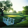 thumbnail image 1 of Footbridge in a golf course Inverness Golf Course Palatine Cook County Illinois USA Poster Print (24 x 24), 1 of 1
