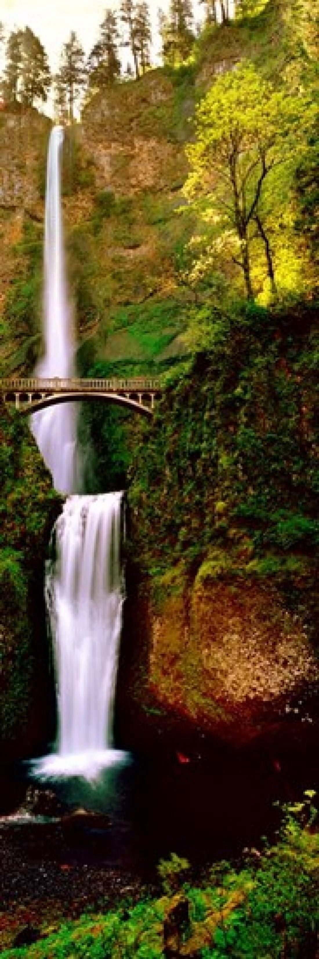 Footbridge in front of a waterfall Multnomah Falls Columbia River Gorge Multnomah County Oregon USA Canvas Art - Panoramic Images (18 x 6)