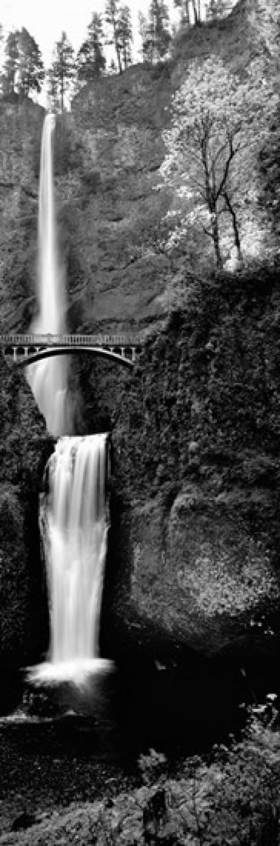 Footbridge in front of a waterfall Multnomah Falls Columbia River Gorge Multnomah County Oregon USA Canvas Art - Panoramic Images (36 x 12)