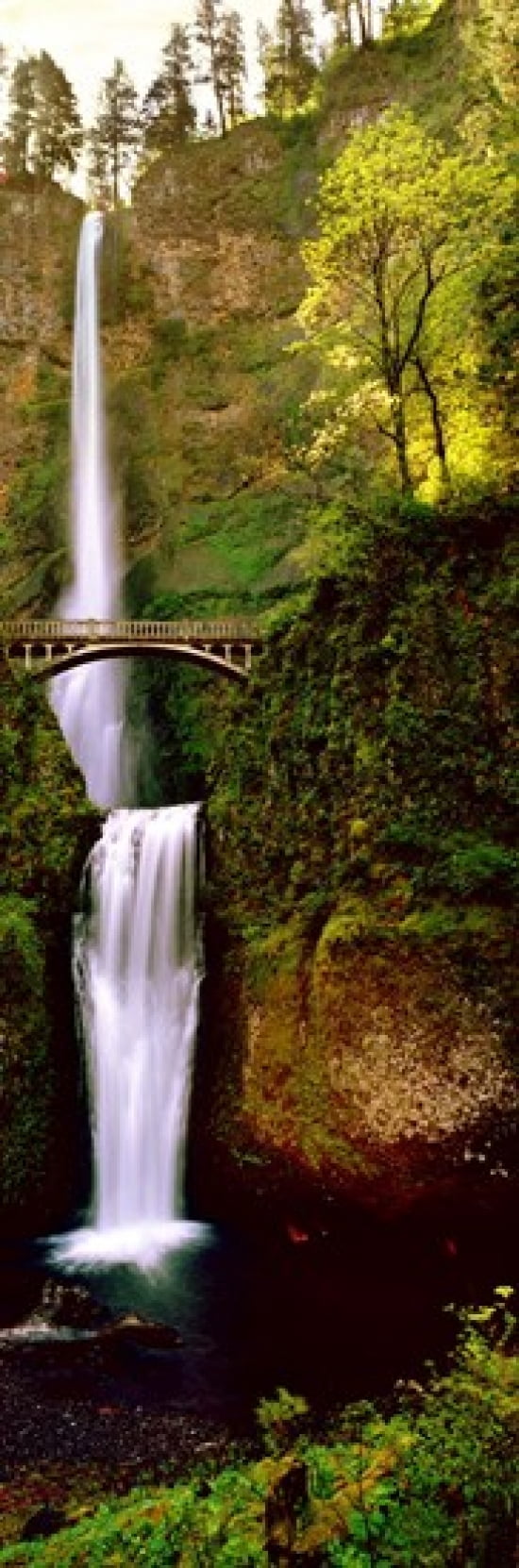 Footbridge in front of a waterfall Multnomah Falls Columbia River Gorge Multnomah County Oregon USA Canvas Art - Panoramic Images (36 x 12)