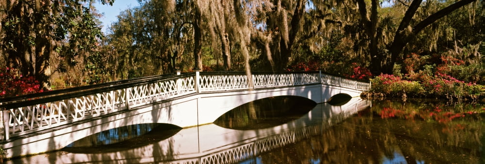 Footbridge over swamp Magnolia Plantation And Gardens Charleston South Carolina USA Canvas Art - Panoramic Images (27 x 9)