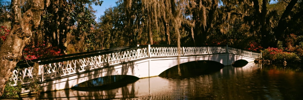 Footbridge over swamp Magnolia Plantation And Gardens Charleston South Carolina USA Canvas Art - Panoramic Images (36 x 12)