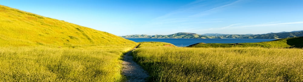 Footpath at San Luis Reservoir Pacheco Pass Santa Clara County California USA Canvas Art - Panoramic Images (6 x 21)