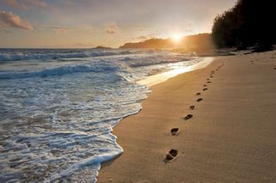 Footprints Canvas Art - Dennis Frates (12 x 18)