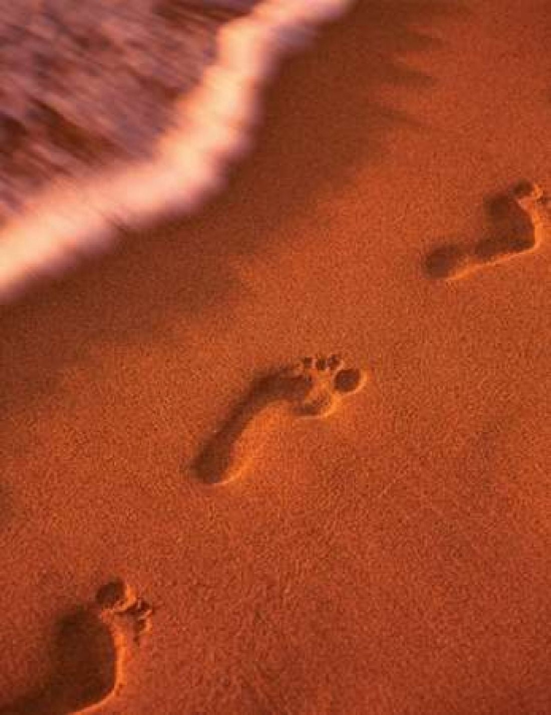 Footprints Canvas Art - Dennis Frates (22 x 28)