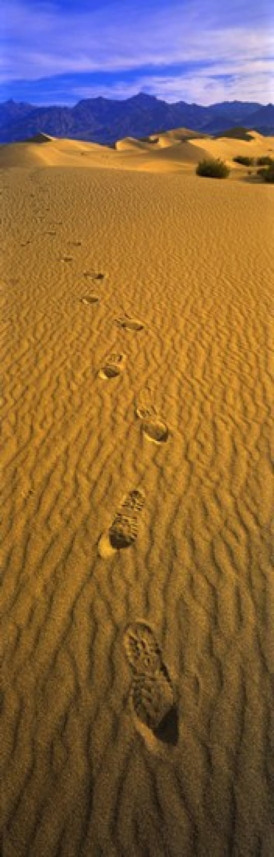 Footprints Death Valley National Park California USA Canvas Art - Panoramic Images (36 x 12)