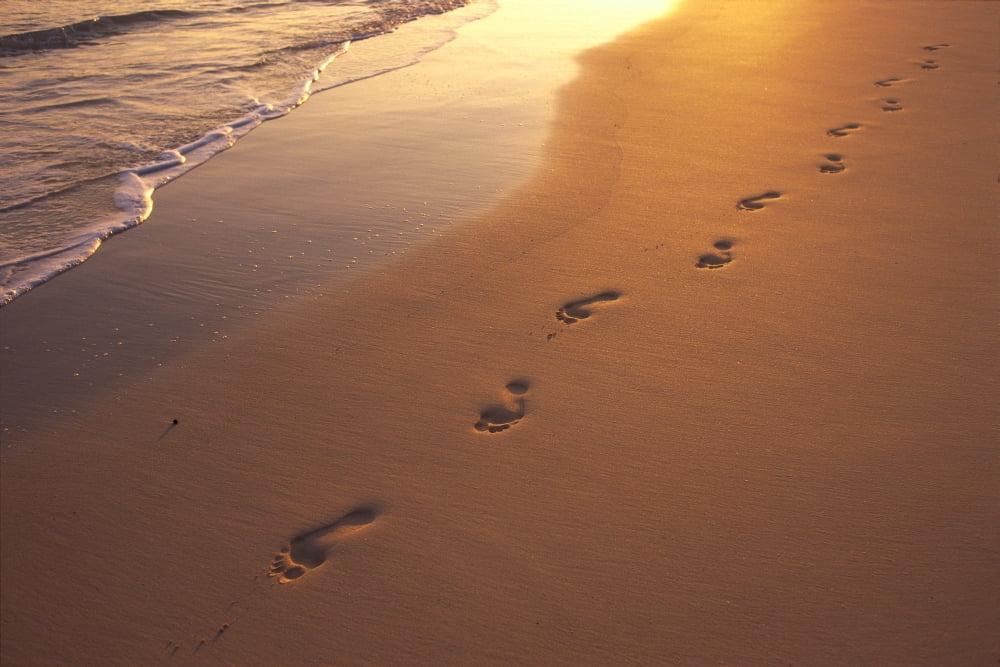 Footprints In Sand At Sunset Shoreline Water B1452 Canvas Art - Dana Edmunds  Design Pics (38 x 24)