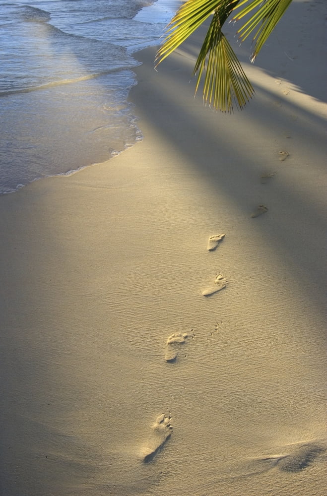 Footprints In Sand At Waters Edge Soft Warm Golden Light Canvas Art - Tomas del Amo Design Pics (11 x 17)