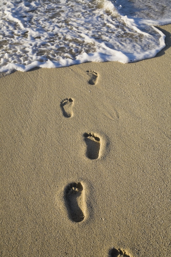 Footprints In The Sand Canvas Art - David Chapman Design Pics (24 x 38)