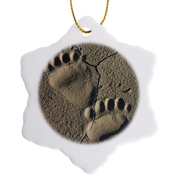 3drose, Footprints of Adult Coastal Grizzly Bear. Lake Clark Np, Alaska., 3 inch Snowflake Porcelain Ornament