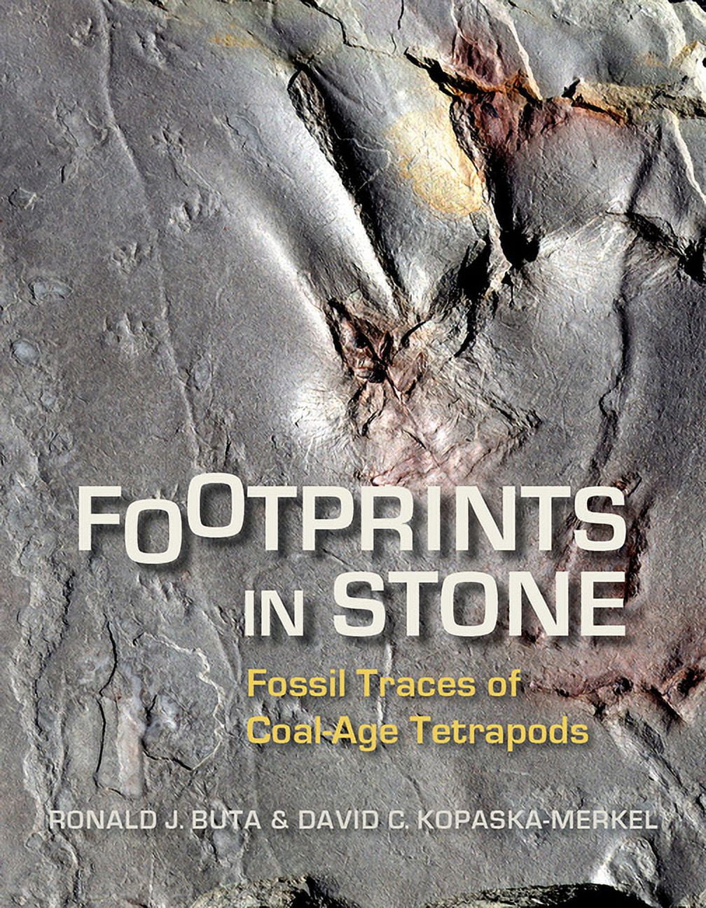 Footprints in Stone : Fossil Traces of Coal-Age Tetrapods (Edition 1) (Paperback)