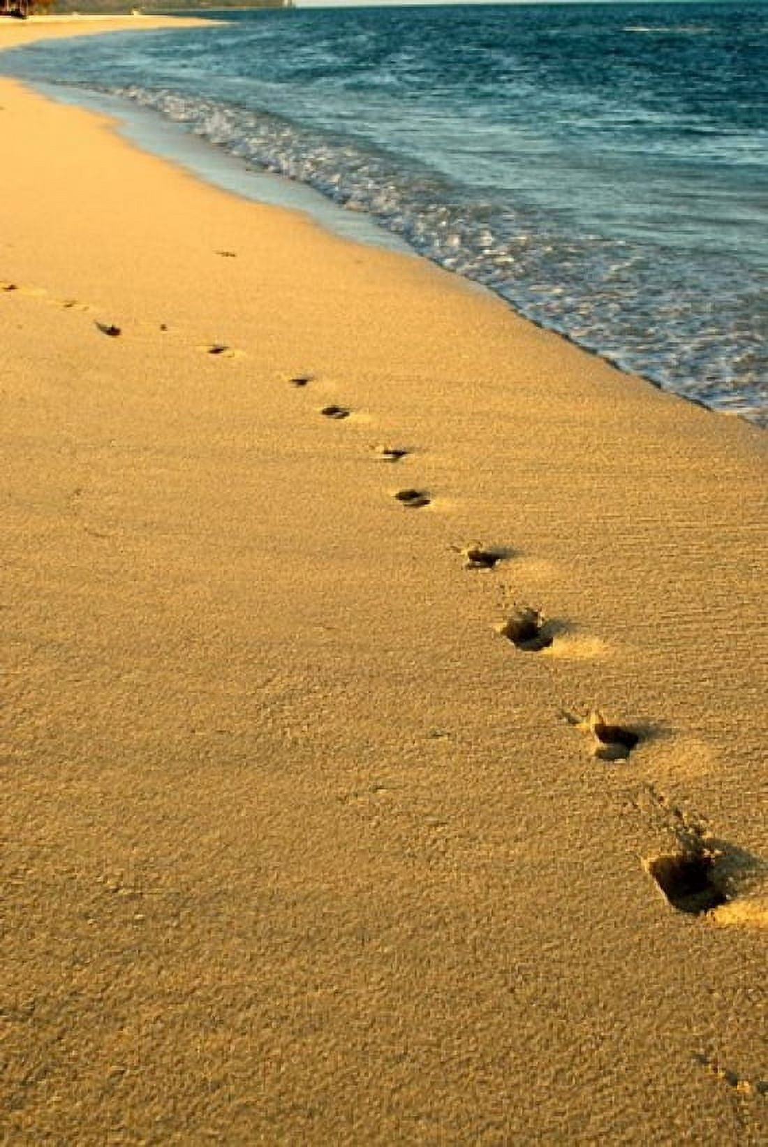 Footprints in the Sand Mauritius Africa Canvas Art - Peter Skinner DanitaDelimont (23 x 34)