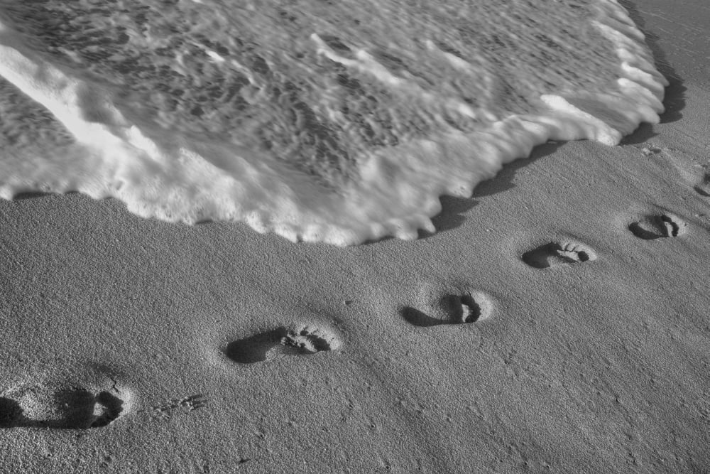 Footprints in the sand Varadero Cuba Canvas Art - David Chapman Design Pics (38 x 24)
