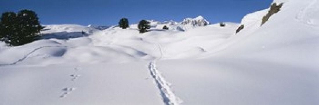 Footprints on a snow covered landscape Alps Riederalp Valais Canton Switzerland Canvas Art - Panoramic Images (18 x 6)