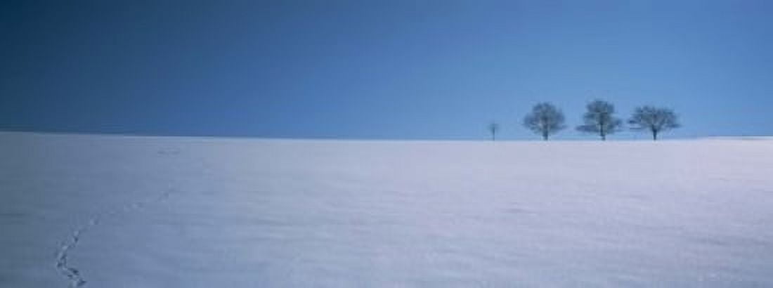 Footprints on a snow covered landscape St Peter Black Forest Germany Canvas Art - Panoramic Images (15 x 6)