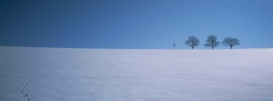 Footprints on a snow covered landscape St Peter Black Forest Germany Canvas Art - Panoramic Images (30 x 12)