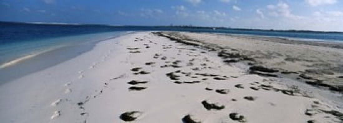 Footprints on the beach Cienfuegos Cienfuegos Province Cuba Canvas Art - Panoramic Images (18 x 7)