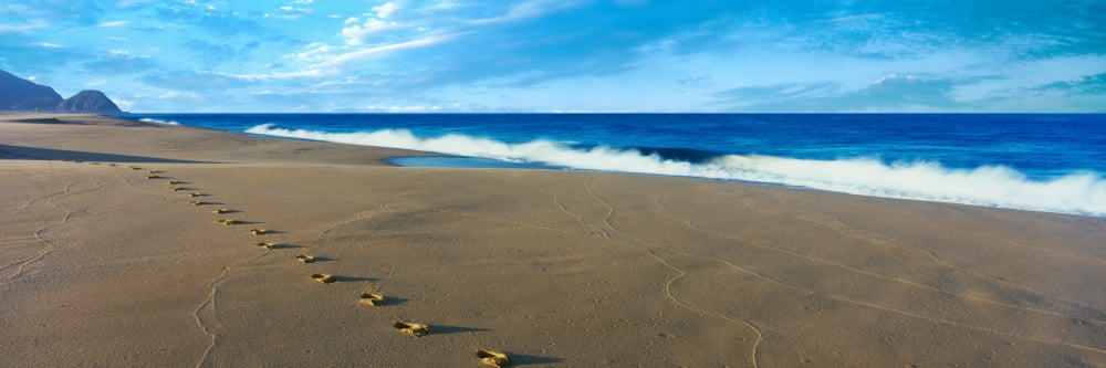 Footprints on the beach Playa La Cachora Todos Santos Baja California Sur Mexico Canvas Art - Panoramic Images (36 x 12)