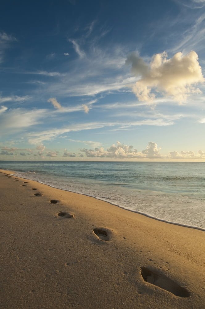 Footsteps On Brighton Beach At Dusk Barbados Barbados Canvas Art - Ian Cumming Design Pics (24 x 38)