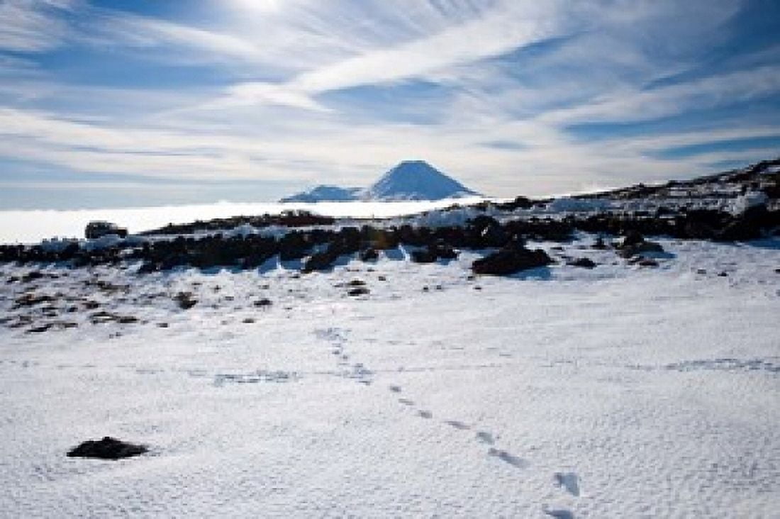 Footsteps in Snow and Mt Ngauruhoe Tongariro National Park North Island New Zealand Canvas Art - David Wall DanitaDelimont (34 x 23)