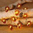 thumbnail image 1 of Foqnuq 20-Light Decorative String Lights with Remote Control - Elegant Orange LED Pendant Lights for Indoor Holiday Atmosphere and Festive Decor, 1 of 8