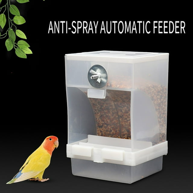 Foqnuq Automatic Bird Feeder 270g AntiSplash Food Box, Timed Ration