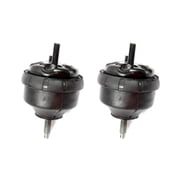For 02-09 Trailblazer Envoy 04-07 Buick Rainer 4.2L Front L & R Mount Set 2PCS MK5137x2 M976