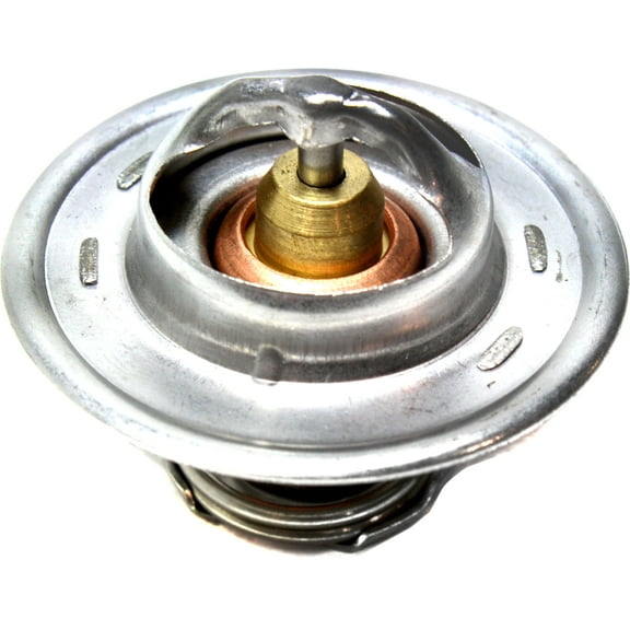 For 1983-1987 Regal Thermostat Steel