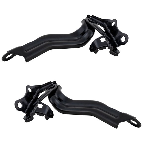 For 2019-2022 Avalon Hood Hinge SET PAIR