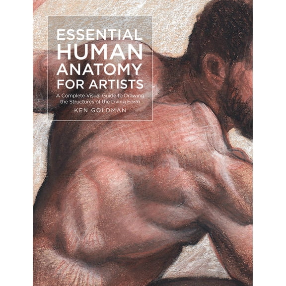 For Artists Essential Human Anatomy for Artists: A Complete Visual Guide to Drawing the Structures of the Living Form, Book 9, (Paperback)
